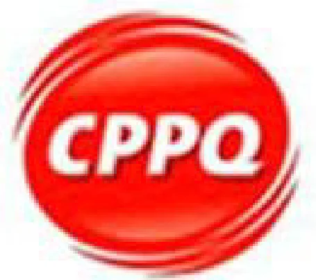 Cliente 6